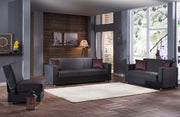Tokyo Sleeper (Santa Glory Gray) Living Room Set - DMV FurnitureLiving Room Set