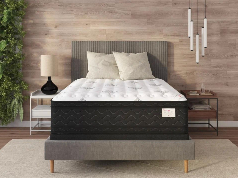 Tracy Double Side Queen Mattress - No Boxspring / Standard - 47612570992857