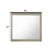 Travonte Mirror - BD04884