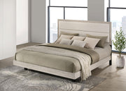 Trenton 54-inch Wood Eastern King Panel Bed Rustic Cream - 225061KE