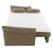 Turpin Sofa w/Sleeper, 2 Pillows & Storage - LV07230