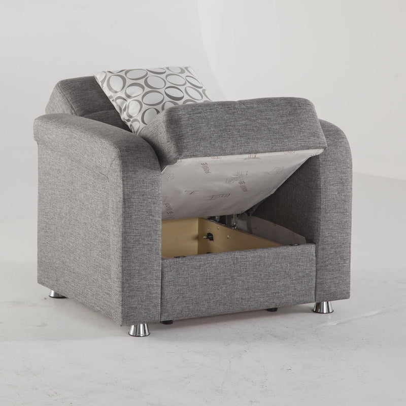 Vision Sleeper (Diego Gray) Living Room Set - DMV FurnitureLiving Room Set