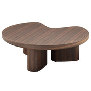 Yoab Coffee Table - LV03755