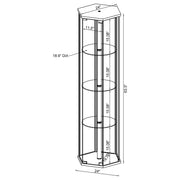 Zahavah 4-shelf Hexagonal Clear Glass Curio Cabinet Black - 950276