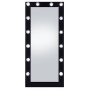 Zayan 32 x 71 Inch Floor Mirror LED Lighting Black Gloss - 969557