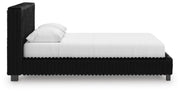 Zuraleus Black Queen Upholstered Bed - PCB3380B8